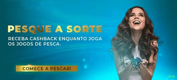 Performance 3838